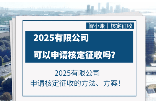 有限責任公司可以核定征收嗎?直接申請和稅務籌劃合規享受兩種方案!