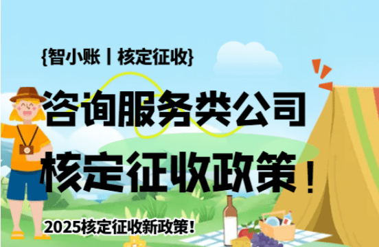 咨詢服務類公司核定征收政策!