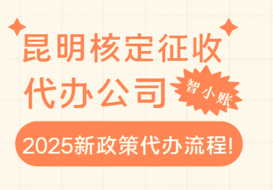 昆明核定征收代辦公司2025新政策代辦流程！