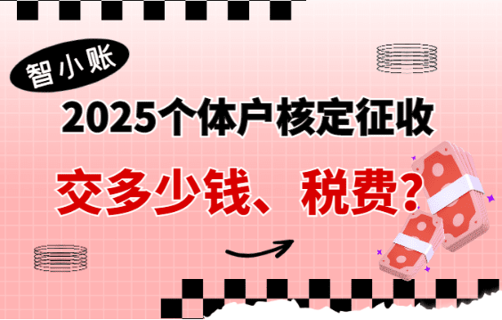 2025個(gè)體戶核定征收交多少錢、稅費(fèi)？