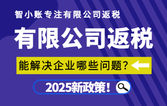 2025有限公司返稅能解決哪些企業(yè)問題？