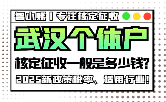武漢個(gè)體戶核定征收一般是多少錢？