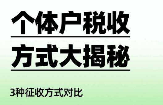 2025個(gè)體戶核定征收方式有哪些?申請(qǐng)流程是什么?