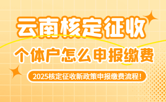 云南核定征收個體戶怎么申報繳費的？
