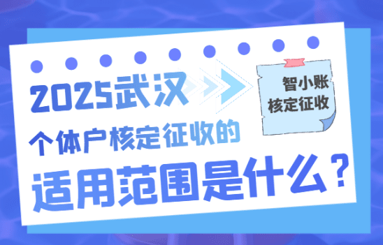 武漢核定征收的個(gè)體戶(hù)適用范圍是什么?