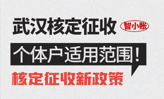 武漢核定征收的個體戶適用范圍是什么？