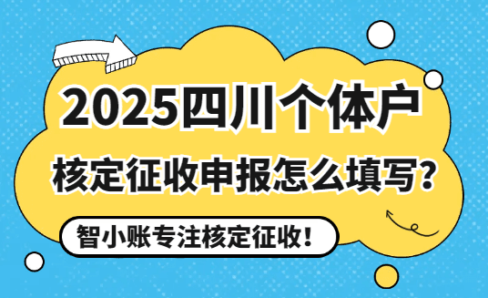 2025四川個(gè)體戶核定征收申報(bào)怎么填寫？