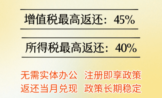 有限公司返稅政策適用范圍!2025新政策行業(yè)、稅種!