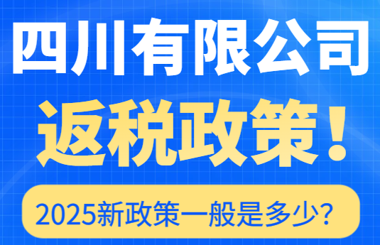 四川有限公司返稅政策一般是多少？