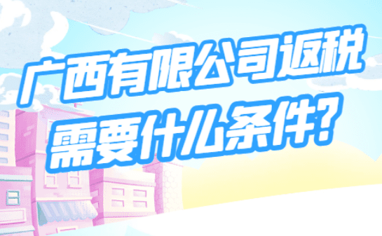 廣西有限公司返稅政策需要什么條件？