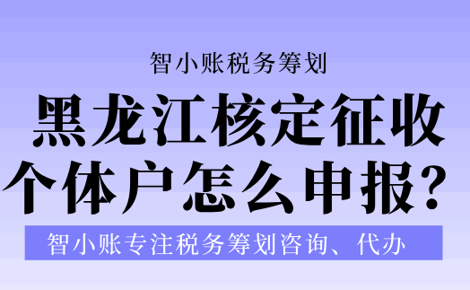黑龍江核定征收個(gè)體戶(hù)怎么申報(bào)？