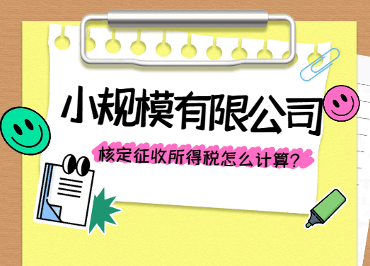 小規模有限公司核定征收所得稅怎么算？