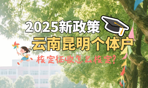 云南昆明個體戶核定征收怎么核定？