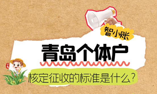 青島個體戶核定征收的標(biāo)準(zhǔn)是什么？