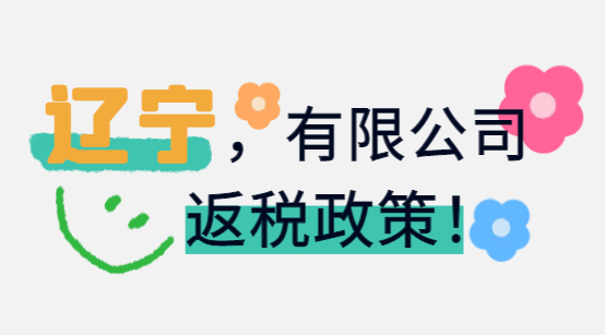 遼寧有限公司返稅政策！