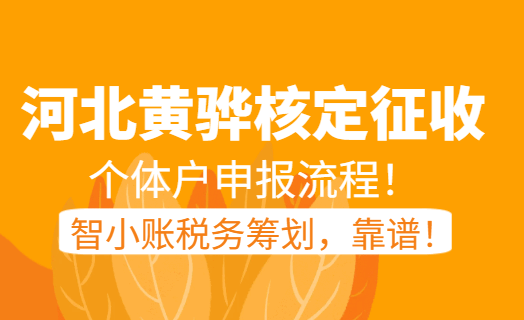 河北黃驊核定征收個(gè)體戶申報(bào)流程！