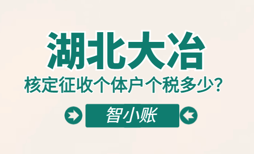 湖北大冶核定征收個體戶個稅多少?