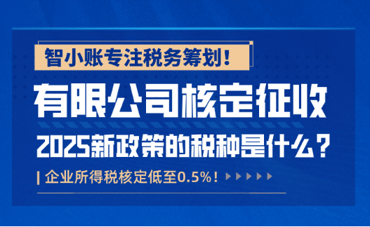 有限公司核定征收的稅種是什么?企業所得稅核定低至0.5%?