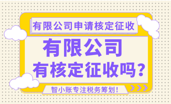 有限公司有核定征收嗎？怎么申請享受核定征收！