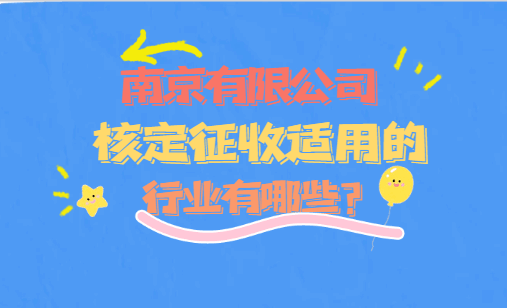 南京有限公司核定適用的行業有哪些？