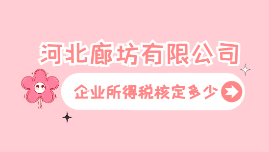 河北廊坊有限公司企業所得稅核定多少？
