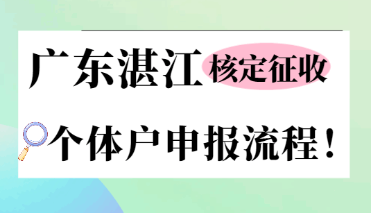 廣東湛江核定征收個體戶申報流程！
