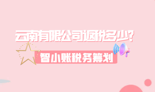 云南有限公司返稅多少？