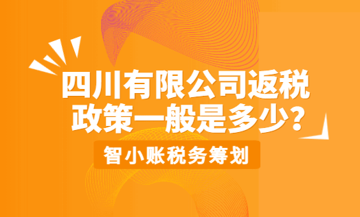四川有限公司返稅政策一般是多少？