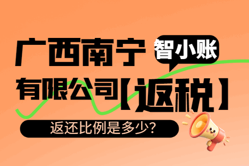 廣西南寧有限公司返稅返還比例是多少？