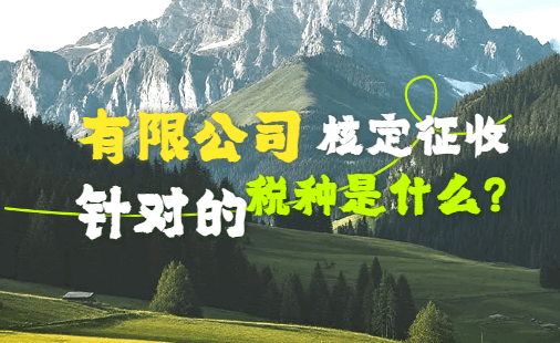 有限公司核定征收針對的稅種是什么?