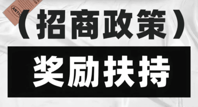 山東臨沂有限公司返稅政策比例大嗎？