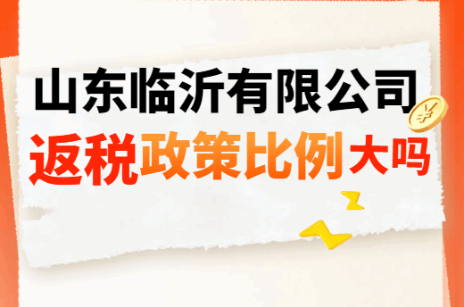 山東臨沂有限公司返稅政策比例大嗎？