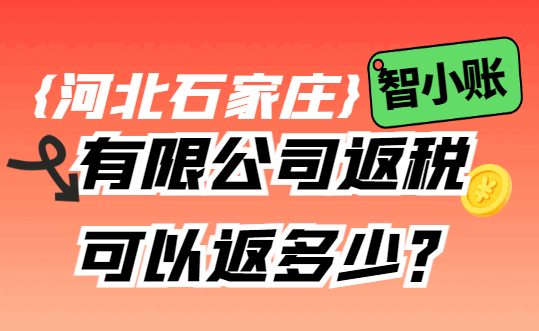 河北石家莊有限公司返稅可以返多少？