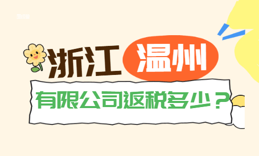 浙江溫州有限公司返稅多少?