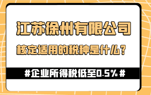 江蘇徐州有限公司核定適用的稅種是什么？