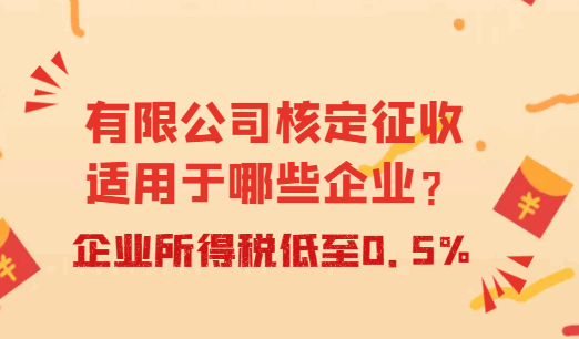 有限公司核定征收適用于哪些企業？