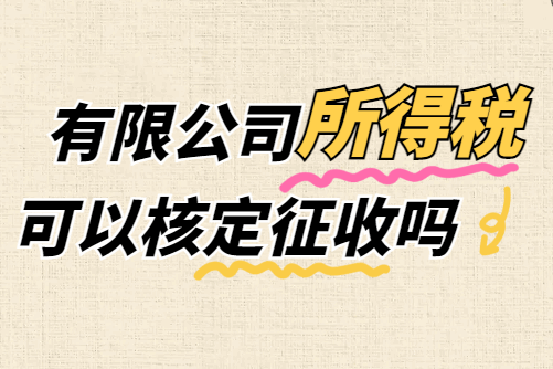 有限公司所得稅可以核定征收嗎？