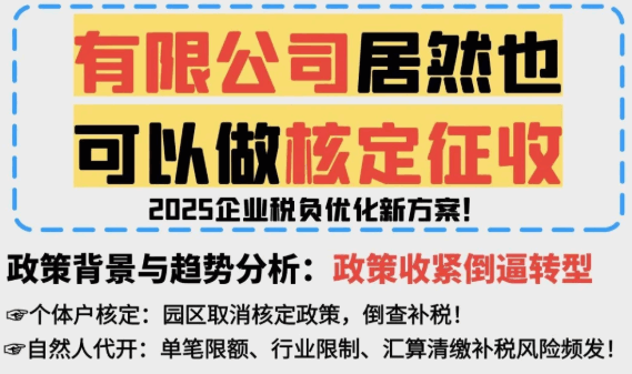 有限公司所得稅可以核定征收嗎？