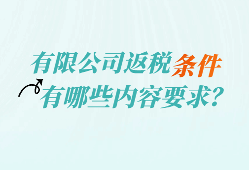 有限公司返稅條件有哪些內容要求?