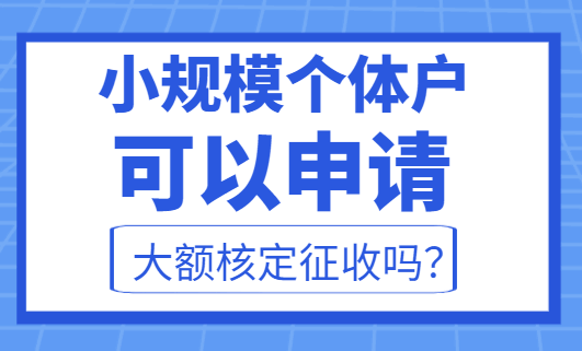 小規(guī)模個(gè)體戶可以申請大額核定征收嗎?
