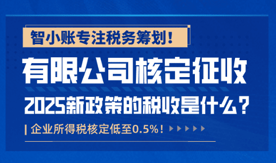 電商企業稅務合規方案!稅務籌劃享受企業所得稅低至0.5%!