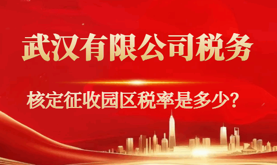 武漢有限公司稅務核定征收園區稅率是多少？