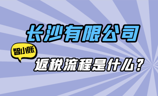 長沙有限公司返稅流程是什么？