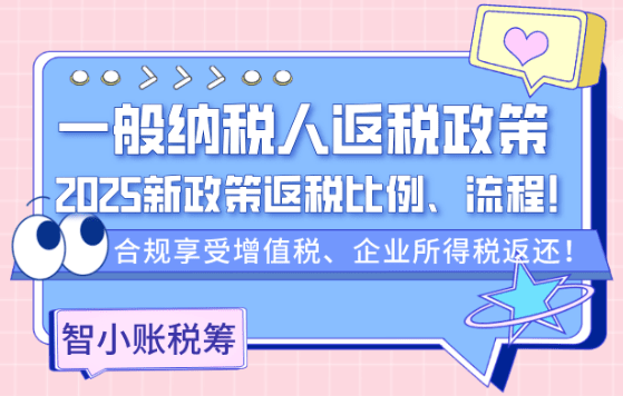 2025年一般納稅人返稅政策！