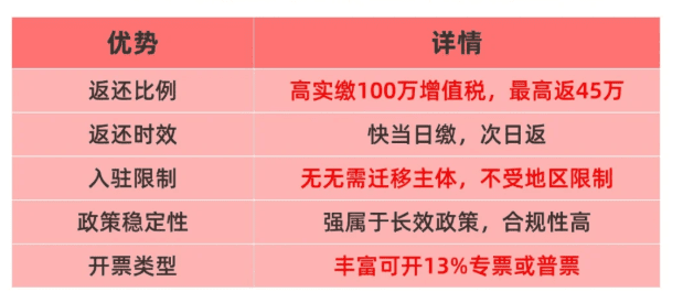 2025年一般納稅人返稅政策!