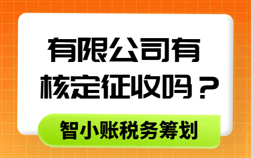 有限公司有核定征收嗎？