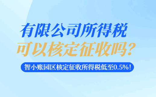 有限公司所得稅可以核定征收嗎？