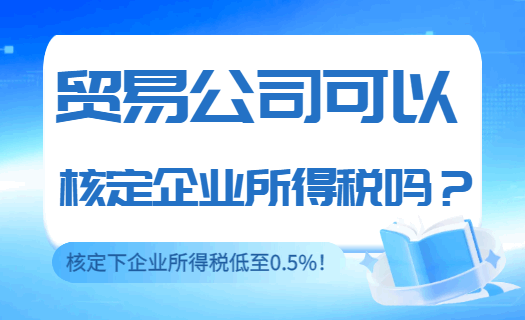 貿(mào)易公司可以核定企業(yè)所得稅嗎？