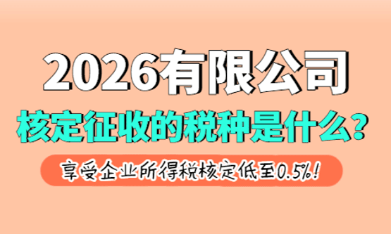2026有限公司核定征收的稅種是什么？