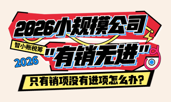 2026小規(guī)模公司只有銷項沒有進項怎么辦？